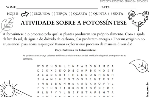 atividade fotossíntese